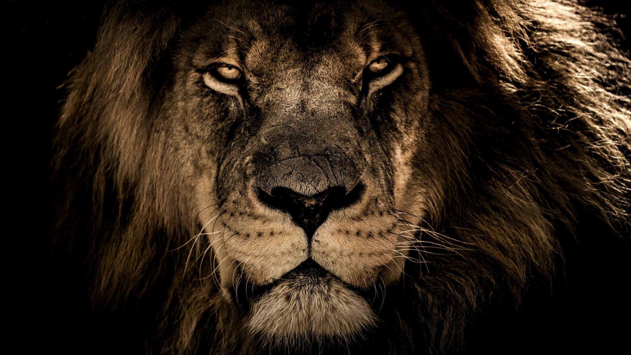 A True Alpha